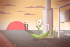 泓翔老师2017年5月属鸡运势