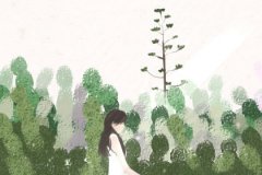 分手坚决不当面讲的生肖女