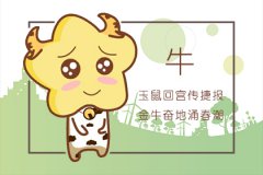 爱情中会毫无保留的对对方好的四大生肖