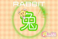 87年男兔和92年女猴属相婚配合适吗