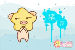 八三年属什么生肖配对结果如何