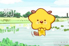 生肖财运排行榜 19年前四生肖排行榜