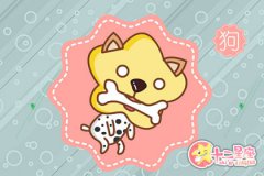 狗和猪合不合 属狗和属猪相配还是相冲