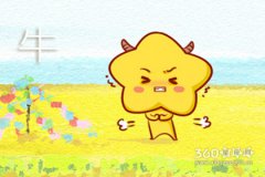 像牛一样倔强 主动道歉不可能的生肖