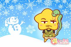 今日生肖相冲表 2019年12月4日相冲查询