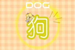 今日生肖相冲表 2020年4月19日相冲查询