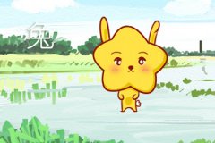 今日生肖相冲表 2020年4月24日相冲查询