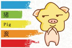 似乎做什么事情都没个责任心的生肖