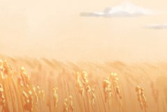 属狗和属蛇婚姻合不合 属相相冲吗