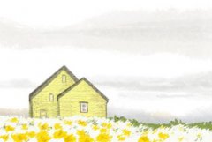 属马父母生牛男宝宝好不好 宝宝属相好吗