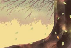 牛年女宝宝月份出生命运最好 属牛性格