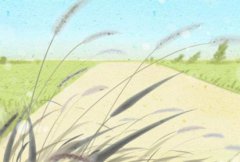 属狗人跟属猴2021年合适结婚吗 属猴和属狗的相合吗