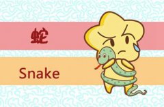 2021年运气最好的生肖 哪几个生肖运势旺