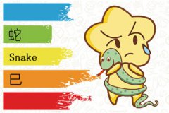 2021年2月份生肖运势 属蛇的运势