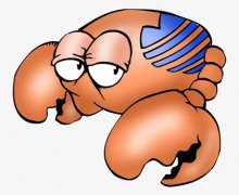 巨蟹座的配对星座