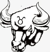 太阳金牛：最稳定的享受派