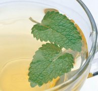 最适合巨蟹座的花草茶