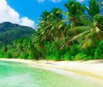 大揭秘,天秤座有多么适合投资？