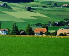 大揭秘,处女座有多么适合投资？