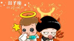 双子座被伤后的心是什么做的