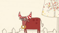 别拍我！金牛座为什么讨厌上镜头