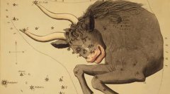 金牛座的多愁善感都是愁到哪里