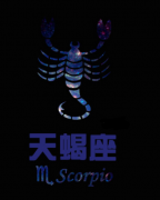天蝎座图片大全【专辑41】