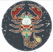 天蝎座旅行带什么回家