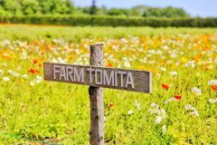 狮子和天秤配对指数：90