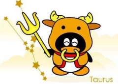 5月18什么星座的（金牛座）