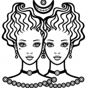 双子男和双子女配对