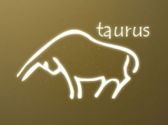 金牛男和射手女配对