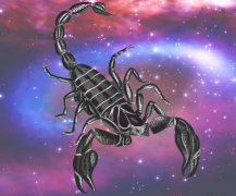 天蝎女和双子男配对?