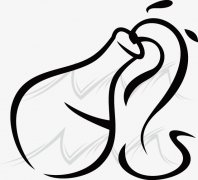 水瓶座程序员的工作生崖