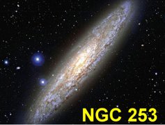 36.玉夫座（3月26日）