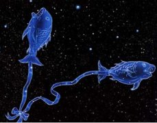 14.双鱼座（2月19日—3月20日）