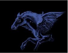 7.飞马座(5月13日)