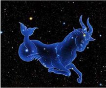 40.摩羯座（12月22日—1月19日）