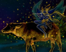 <strong>摩羯座和十二星座的爱情配合度</strong>