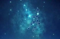 处女和摩羯配对指数：100