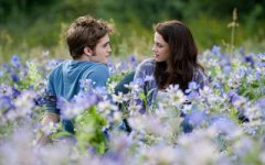 金牛和白羊配对指数：70