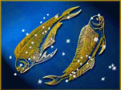 双鱼座男生和摩羯座女生配对