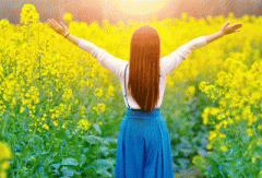 12星座真爱指数大排行