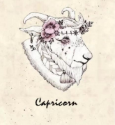 摩羯女和双子男配对