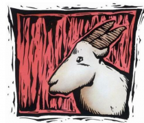 摩羯女和天蝎男配对?