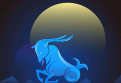 摩羯男和处女女配对