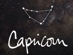 摩羯男和水瓶女配对