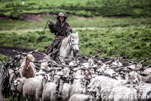 【梦见爸爸是牧羊人】