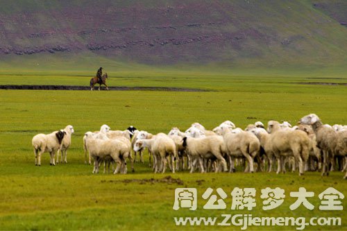 【梦见孤独的牧羊人】