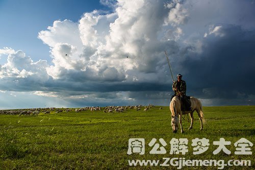 【梦见牧羊人在草原奔驰】